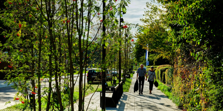 Vestergade efter områdefornyelsen (2018). Foto: Claus Visby